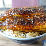 田代 - 鰻山盛り