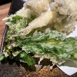 Tachinomi Uotsu Baki - サクサク春菊