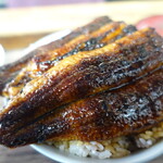 田代 - 鰻がぶりんぶりん