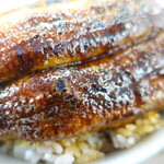 田代 - 良い照り