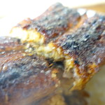 田代 - 表面カリ