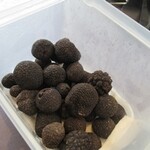 プレゼンテ スギ - 