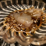 道人 - 葱ダレに軽くくぐらせてます。