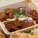 キャッツカフェ - 牛すね肉のワイン煮込み（日替わりランチ）