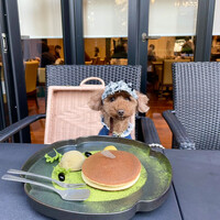 RESTAURANT 1899 OCHANOMIZU - 