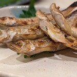肴屋 魚まる - ししゃもを炙りで