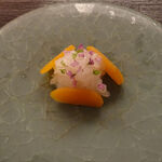 冨久屋 - 白エビ、カラスミ、アオリイカ