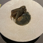 茶禅華 - 酔大閘蟹～酔っ払い蟹　雌(オレンジ色の味噌と黒い内子)