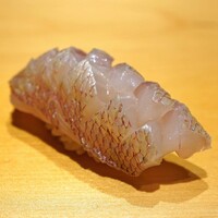 鮨 はしもと - 昆布〆のカスゴの握り