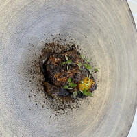 クイントカント - 