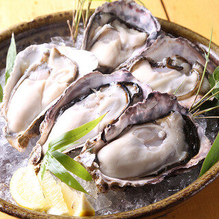 ★ Oyster available year round★