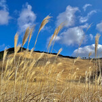 森のオーベルジュ 星咲 - 