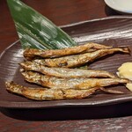 Sakanaya Dojo Shibusawa Ekimae Ten - 