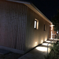おしゃべりきのこ - 