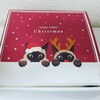 ねこねこチーズケーキ - クリスマス限定Box