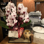 とんかつ 乃ぐち - 