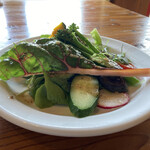 曽爾高原ファームガーデン - お野菜ランチのお野菜