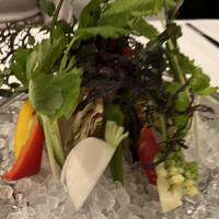 カーザ ヴィニタリア - 