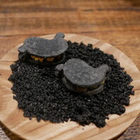 Terroir愛と胃袋 - 