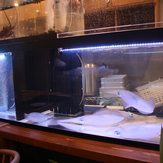 A counter where you can see the fish tank! Great atmosphere! !