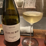 イル アオヤマ - 