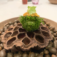 Installation Table ENSO L'asymetrie du calme - 