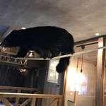 アニミル - 大きなビントロングは迫力あります♫