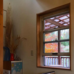 ミル - 窓から紅葉 （2021.11）