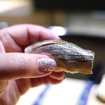 あじゅう田 - 小肌