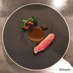 カーサ・デル・チーボ - 津軽ｶﾞﾓのｱｯﾛｰｽﾄ