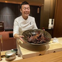 弧柳 - 