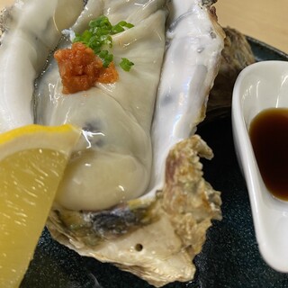 Plump Hokkaido raw oysters