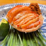 日本ばし さく間 - 松葉ガニ