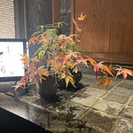 日本ばし さく間 - 店舗外観（京都か？と思うぐらい風流です）