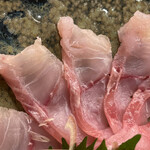 ひさご寿し - 岩床なまずのお造り