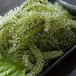 なんしゅう家 - 沖縄直送ぷちぷちの王様。海ぶどう