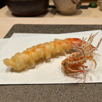 新宿 鮨 よこ田 - 