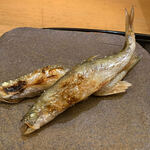 赤坂 詠月 - 【ししゃも】◎ 2021/10