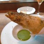 セルサルサーレ - 