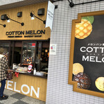 COTTON MELON - 