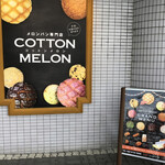 COTTON MELON - 