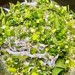 カネヒデ小林商店 - 釜揚げしらすも生姜と小葱と白胡麻で和えます