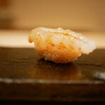 鮨 十兵衛 - ボタンエビ
      むっちりした身が口いっぱいに広がり、醤油がクリアな身に浸透するほどに旨味を増幅させます。