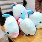 玄海鮨 - うむ???（笑）