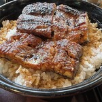 Unagi Matsumoto - 