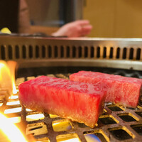 近江うし焼肉 にくTATSU 銀座店 - 