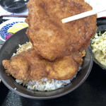 レストラン ふくしん - ヒレカツ丼(小)¥1250