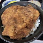 レストラン ふくしん - ヒレカツ丼(小)¥1250