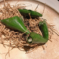 SPICE LAB TOKYO - 