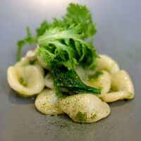 クイントカント - 